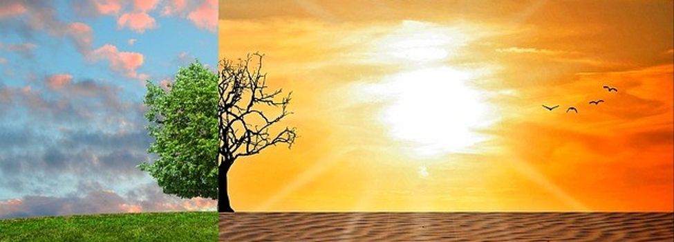 Natur - Foto v. Pixabay